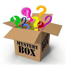 MYSTERY MAGIC BOX HARRY POTTER - GRIFONDORO